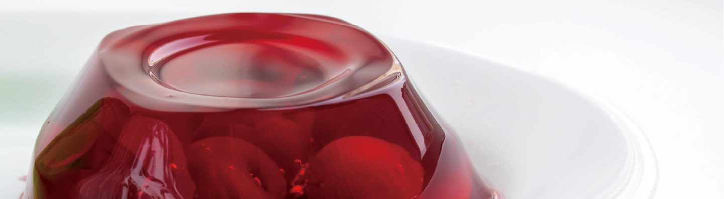 foodmate jelly applications